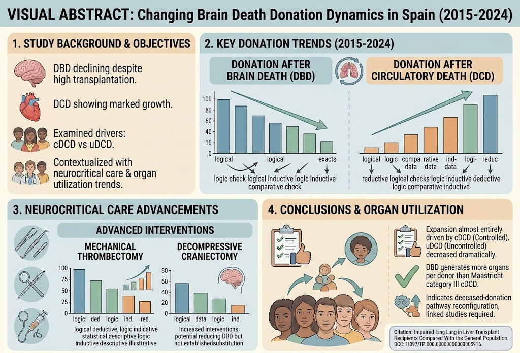 スペインにおける脳死下臓器提供の変化:神経集中治療と臓器提供動向の全国的概観