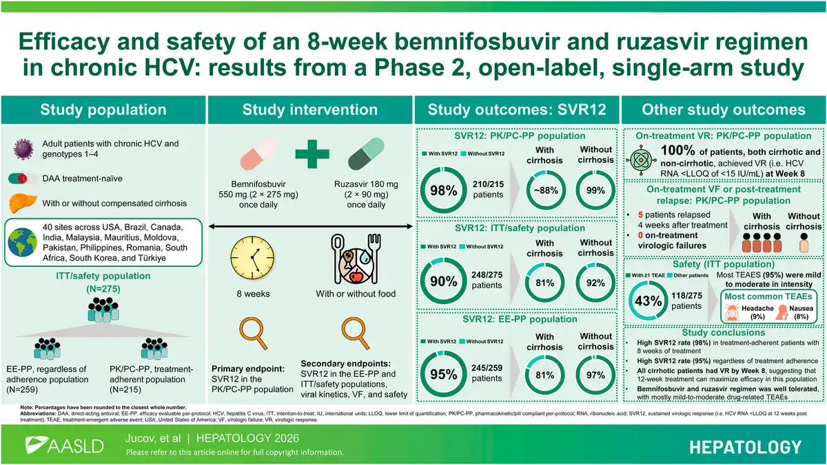 High Efficacy and Tolerability of an 8-Week Bemnifosbuvir and Ruzasvir Regimen in Chronic Hepatitis C: Insights from a Phase 2 Study
