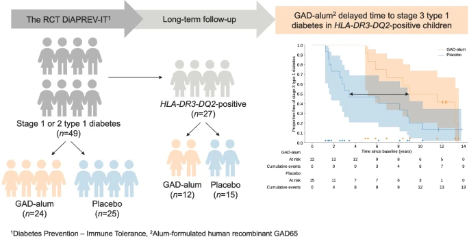 1型糖尿病予防における精密医療：GAD-alum治療後のHLA-DR3-DQ2陽性児でみられたステージ3発症の長期遅延
