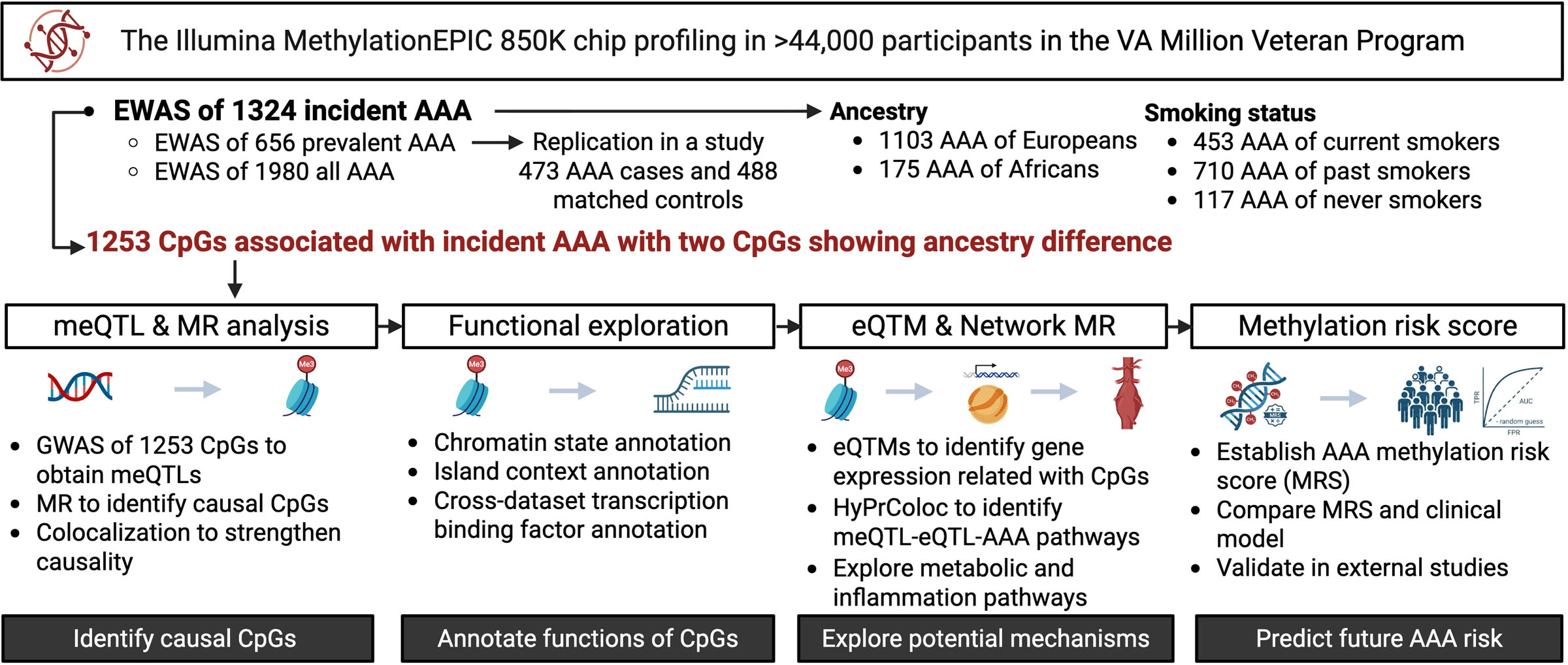 Unraveling Abdominal Aortic Aneurysm: Epigenetic Links to Inflammation and Lipid Metabolism