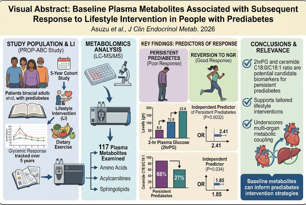Baseline Plasma Metabolites Predict Long-Term Glycemic Outcomes in Prediabetes: Insights from the PROP-ABC Study