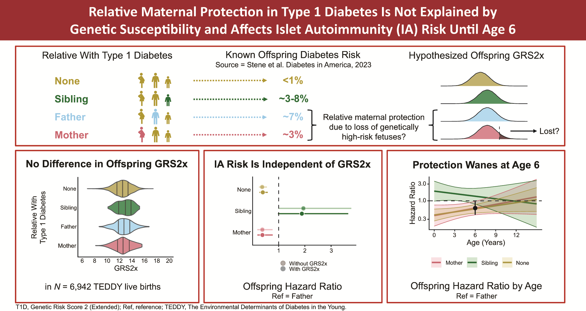 Unraveling Maternal Protection Against Type 1 Diabetes: Genetic Risk and Intrauterine Influences