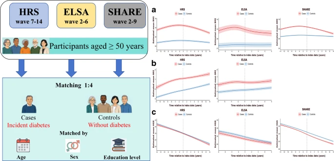 Dynamic Patterns of Body Composition Remodeling Around Type 2 Diabetes Diagnosis: Insights from Three European and US Cohorts