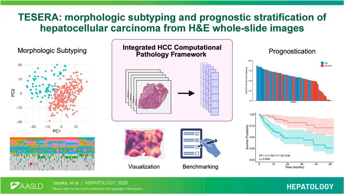 TESERA: Advancing Morphologic Subtyping and Prognostic Stratification in Hepatocellular Carcinoma Using H&E Whole-Slide Images