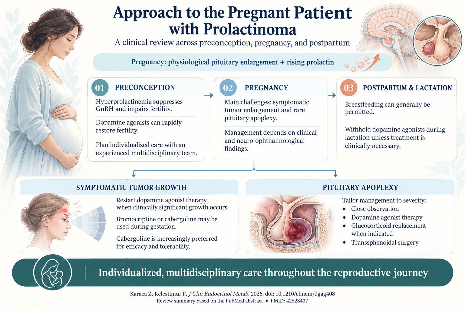 Navigating Prolactinomas in Pregnancy: An Evidence-Based Approach for Optimal Maternal and Fetal Outcomes