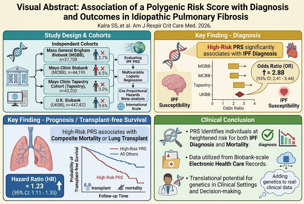 Polygenic Risk Score Enhances Diagnosis and Prognostic Stratification in Idiopathic Pulmonary Fibrosis