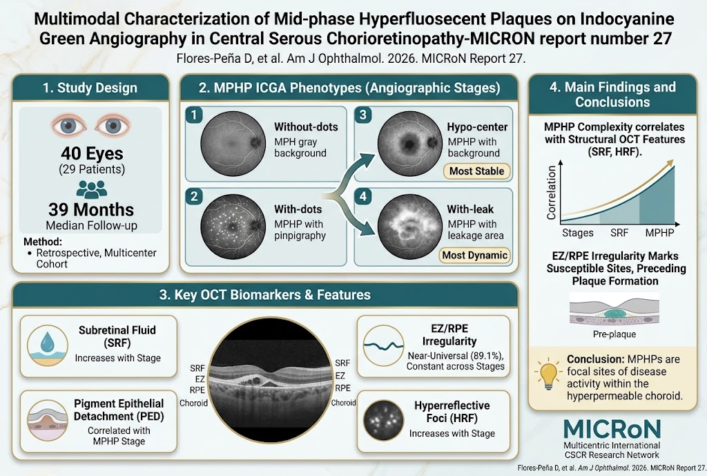 Unraveling Mid-phase Hyperfluorescent Plaques in Central Serous Chorioretinopathy: Insights from Multimodal Imaging
