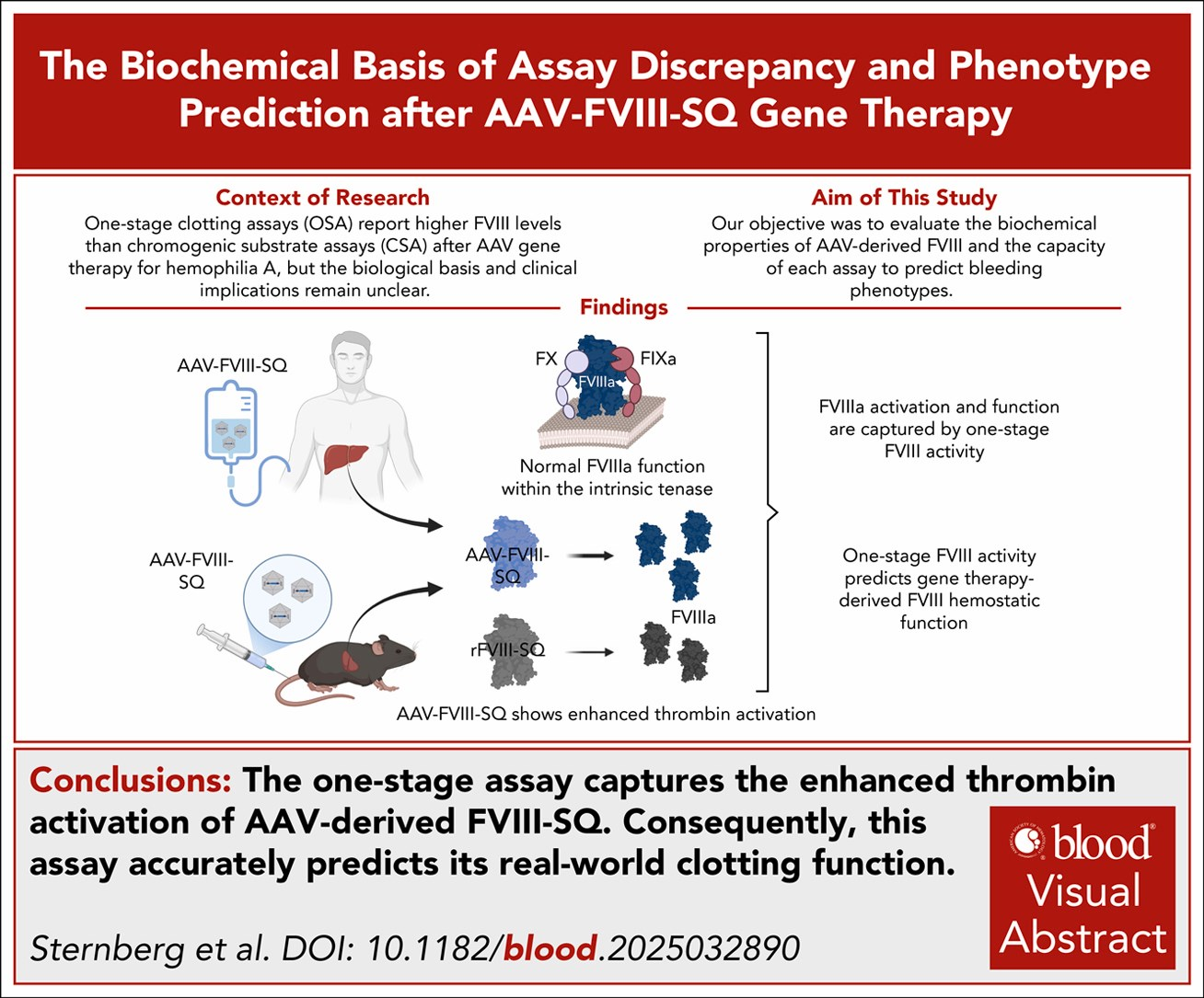 One-stage Assay Reveals Enhanced Thrombin Activation by AAV-Derived Factor VIII: Implications for Hemophilia A Gene Therapy