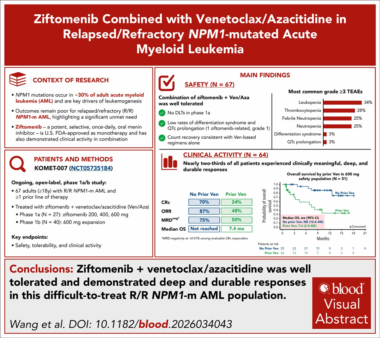 Ziftomenib phối hợp venetoclax và azacitidine: hiệu quả và độ an toàn đầy hứa hẹn trong AML đột biến NPM1 tái phát/kháng trị