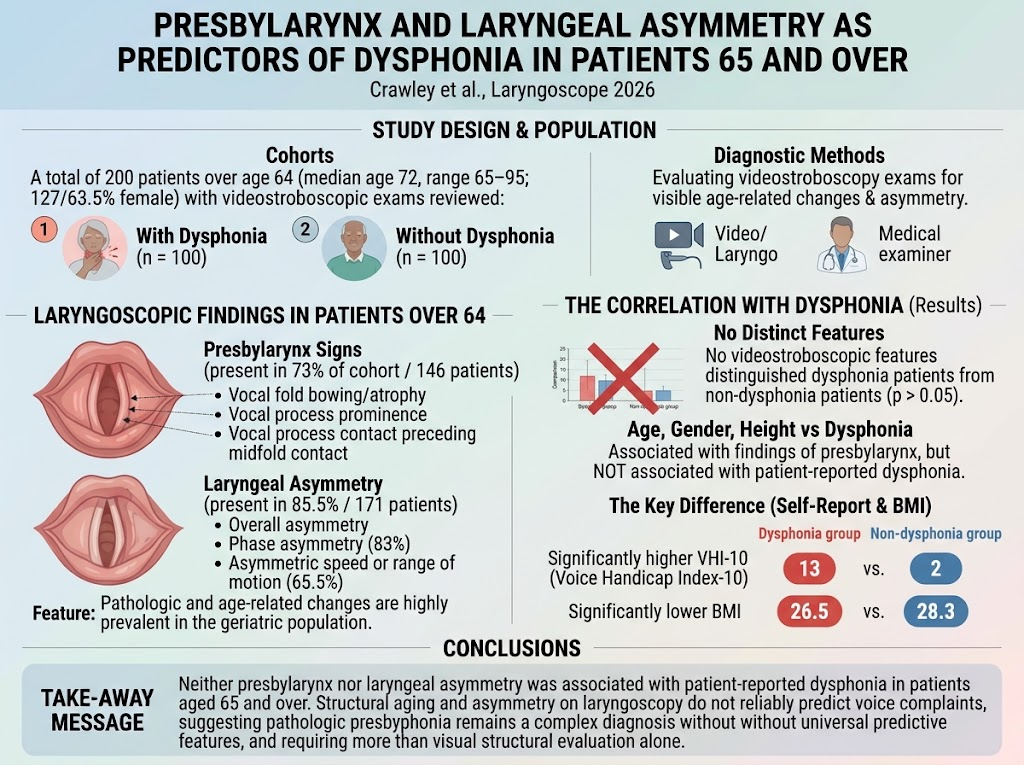 Presbylarynx and Laryngeal Asymmetry: Unreliable Predictors of Dysphonia in Older Adults