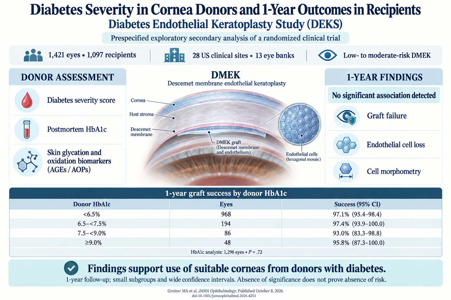 Impact of Donor Diabetes Severity on 1-Year Outcomes After Descemet Membrane Endothelial Keratoplasty: Insights from the Diabetes Endothelial Keratoplasty Study