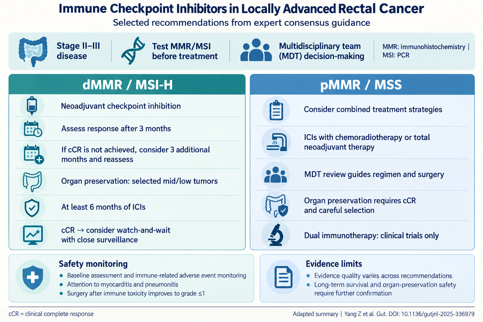 How the 2026 Chinese Consensus Changes Use of Immune Checkpoint Inhibitors in Locally Advanced Rectal Cancer