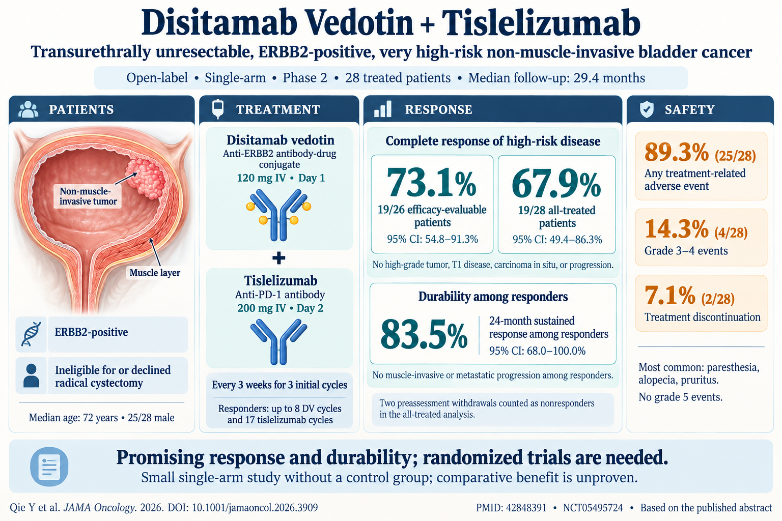 Disitamab Vedotin Plus Tislelizumab in Transurethrally Unresectable, ERBB2-Positive, Non-Muscle-Invasive Bladder Cancer: An Emerging Therapeutic Strategy