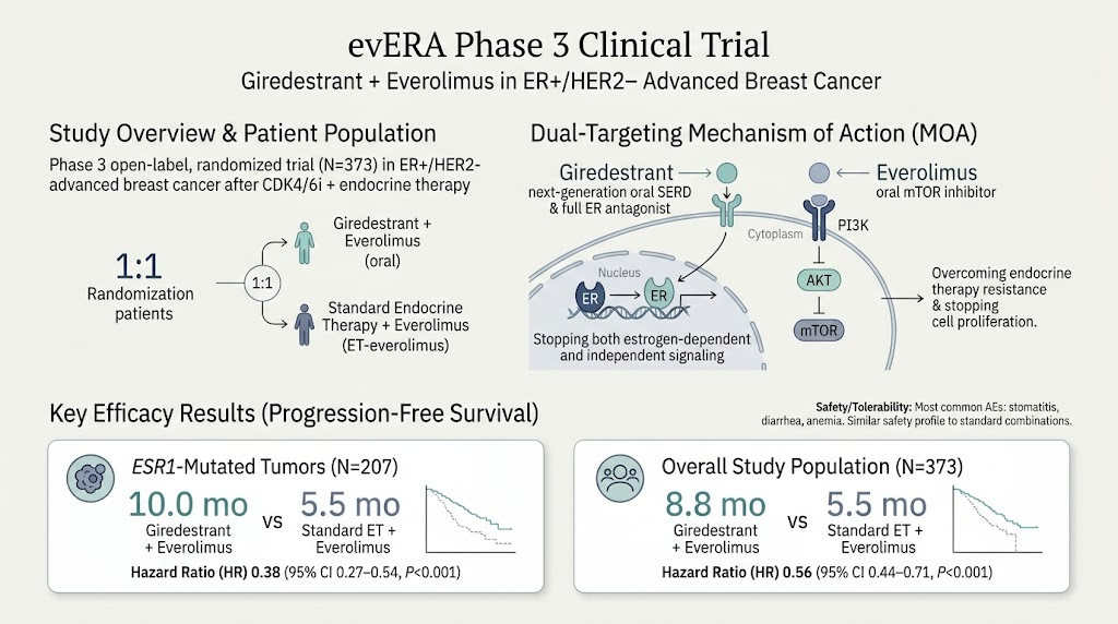 ER 阳性、HER2 阴性晚期乳腺癌治疗再进阶：giredestrant 联合 everolimus 的疗效解析