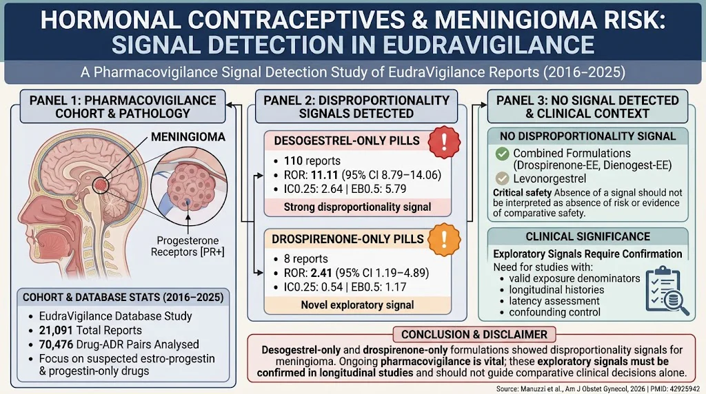 Evaluating Meningioma Risk in Users of Estro-Progestin and Progestin-only Therapies: Insights from EudraVigilance Pharmacovigilance Data